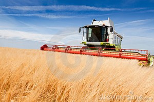 combine-harvester-20639696